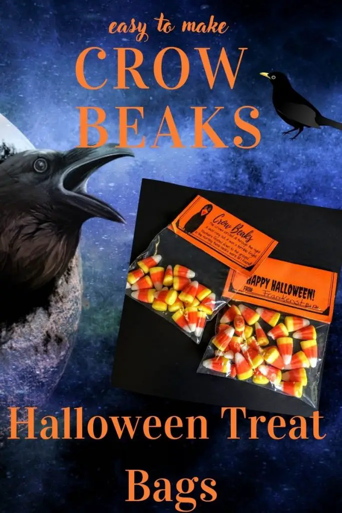 crow breaks halloween treat bags