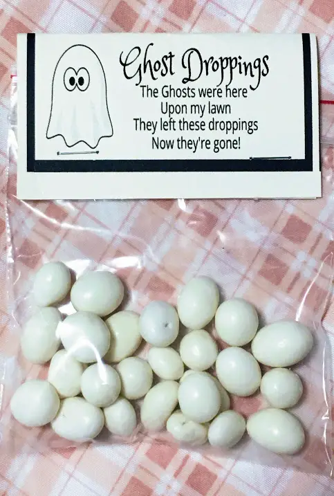 Easy and fun to make Ghost dropping treat bags. 