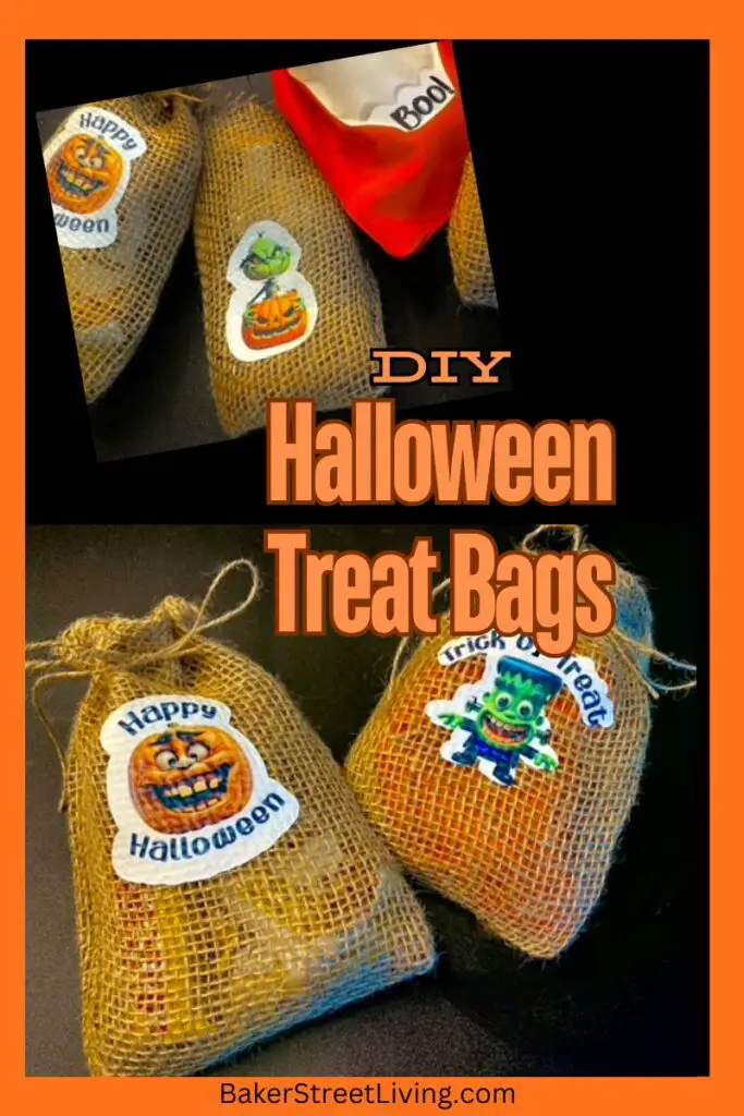 DIY Halloween Treat Bags