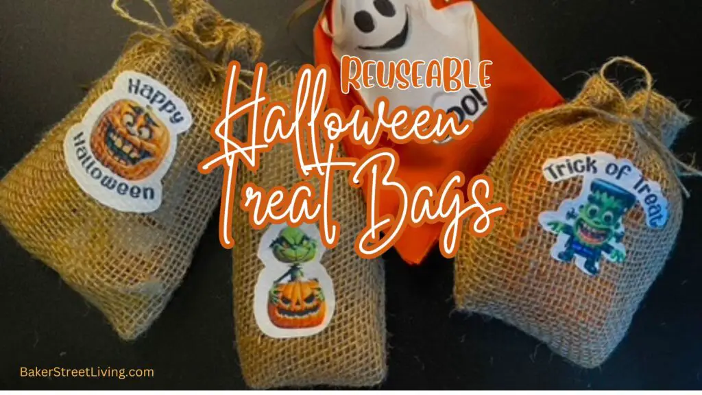 reuseable treat bags for halloween