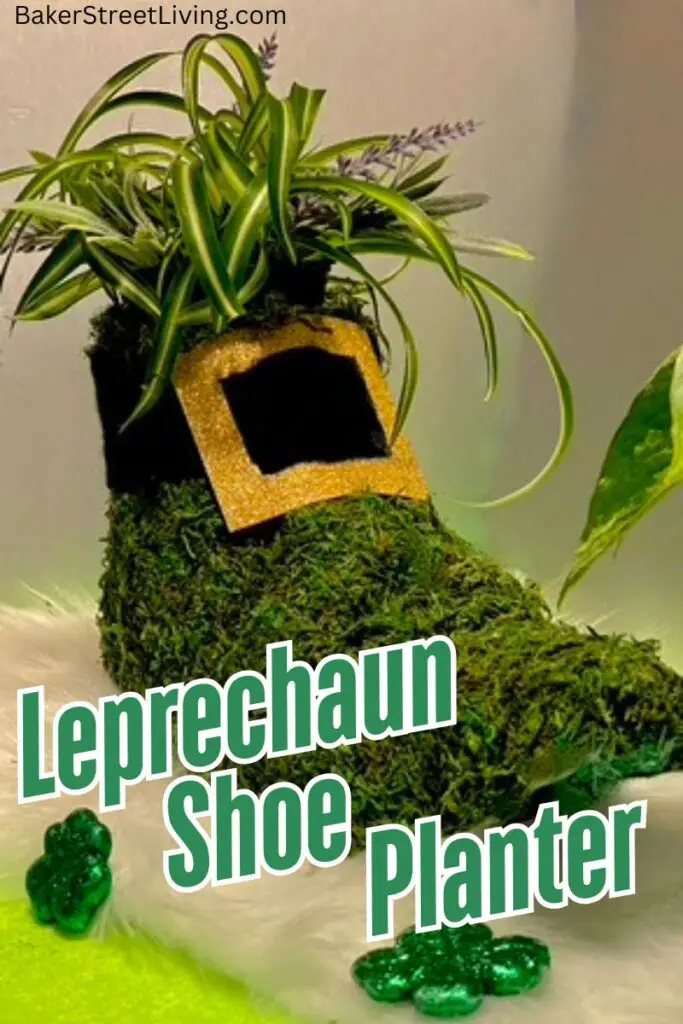 Leprechaun Shoe Planter