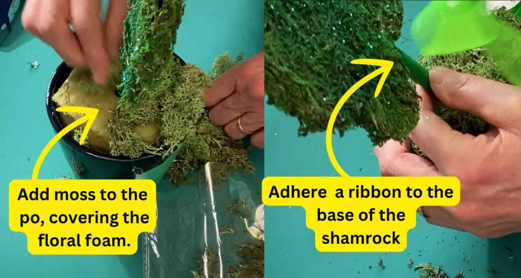 making a shamrock topiary