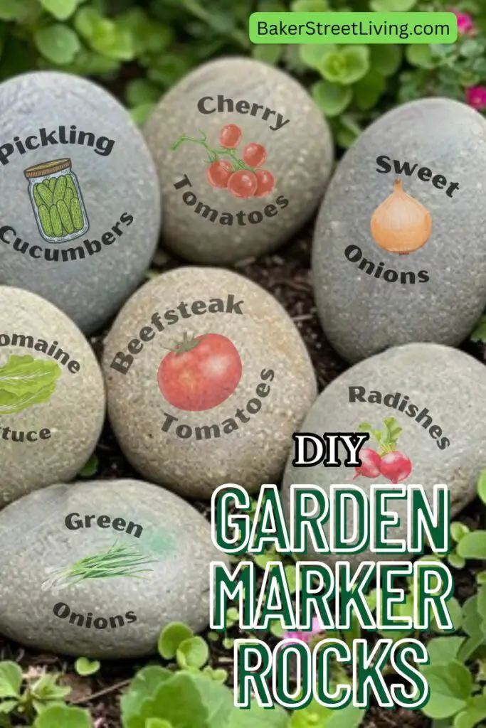 garden marker rocks