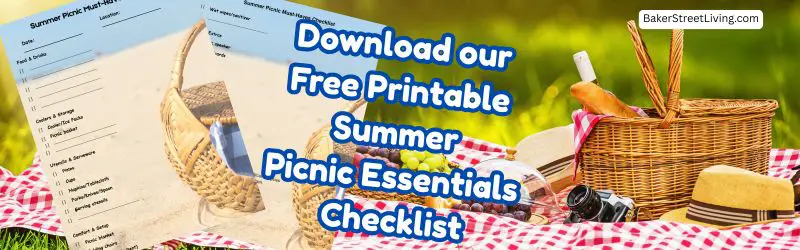 summer picnic essentials checklist