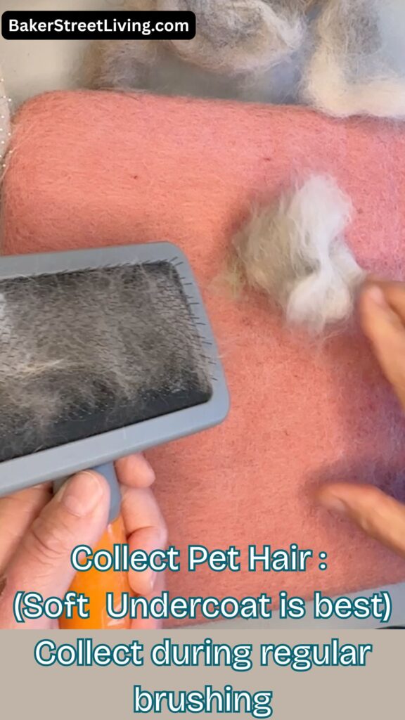 Needle Felting with Pet hair