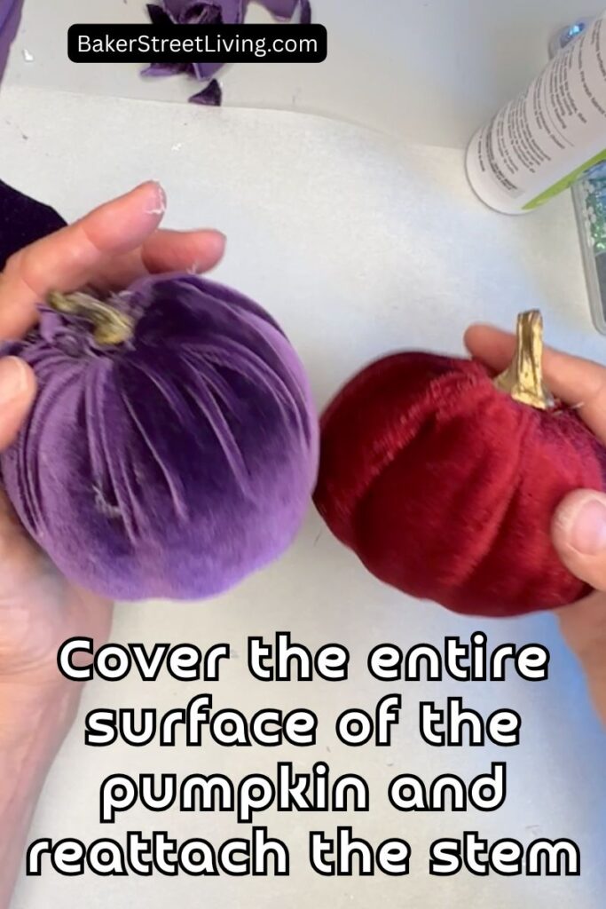 luxurious Velvet Pumpkins